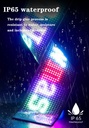 GlowPanel X - Écran LED programmable pour voiture