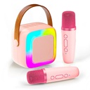 [RZ-014] KaraParty Mini - Enceinte karaoké avec 2 micros sans fil