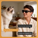 Luma - Lunettes connectées IA à verres électrochromes